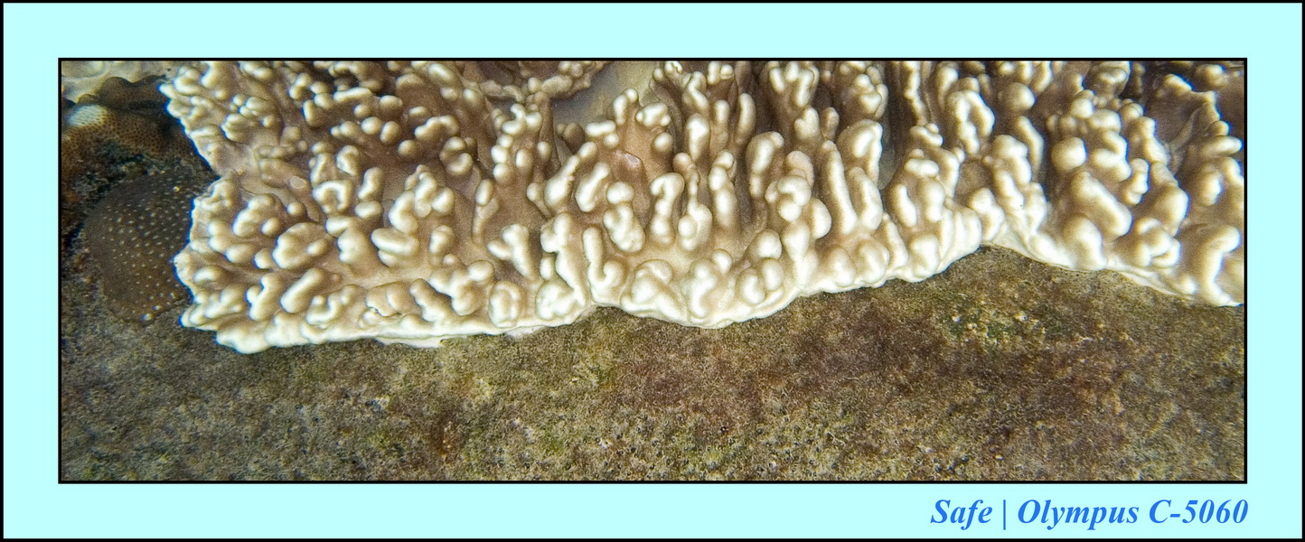 2006 - 07 - Tioman - Plongee Paya beach 15